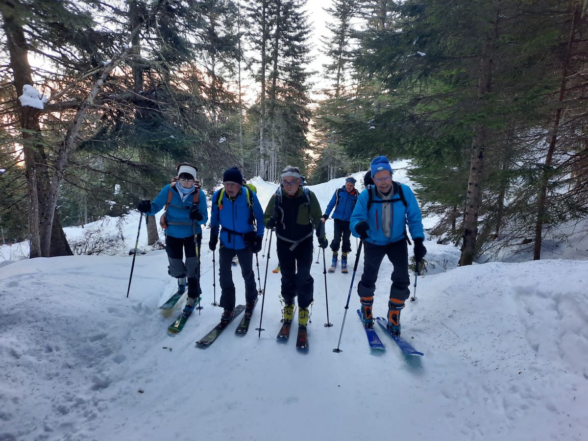 Montée dans les bois