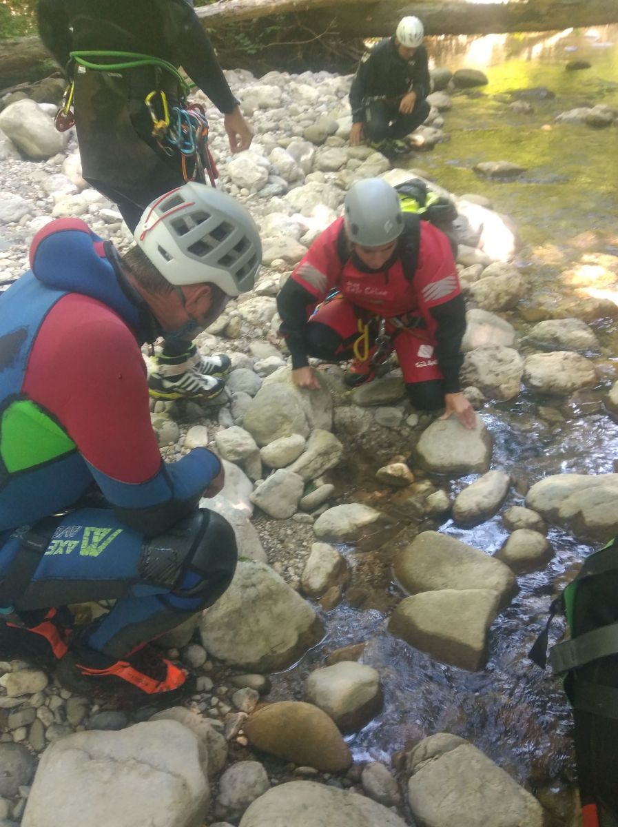 Recherche d'insectes sous les galets