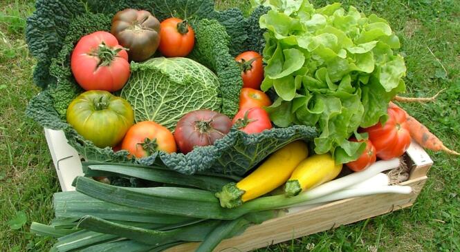 Vente de paniers légumes pour les sportifs que nous sommes ! image article
