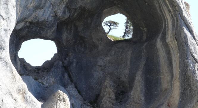 randonnée du vertige et insolite en Chartreuse image article