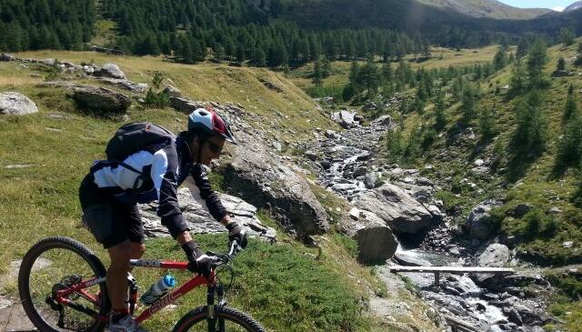 RV2M2015 : "Ca brame à Bramanette" image article