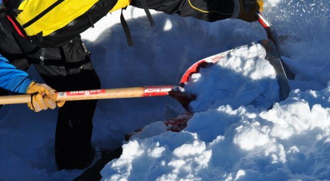 Formation Raquettes/Skis : Neige et Avalanches 2 en LAUZIERE image article