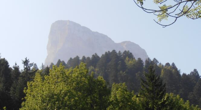Traversée des hauts plateaux du Vercors image article