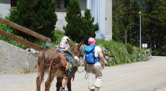 Itinéraires « bis » réservés à des randonneurs déjà aguerris image article