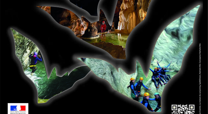 image article