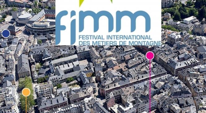 FIMM 2016 image article