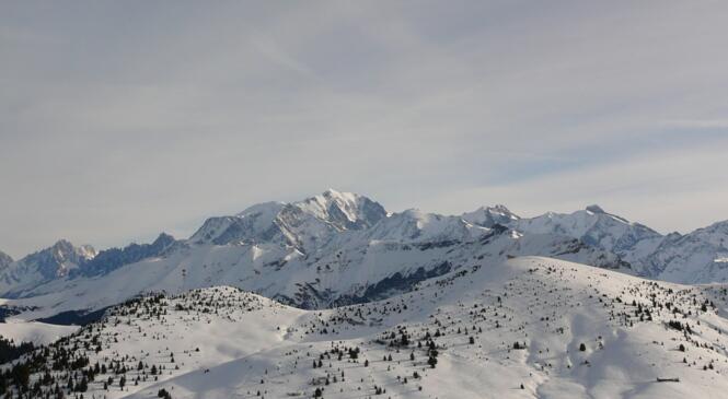 Ski alpin ou nordique ? Pourquoi choisir ? Vous avez tout Saisies ! image article