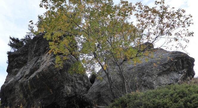 La montagne ce n'est que des cailloux, mais des beaux cailloux, la preuve regarde la suite... image article