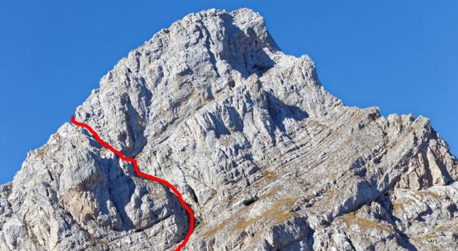 Lagopède, Gypaète au passage Pellier, Pointe Blanche 2438m image article
