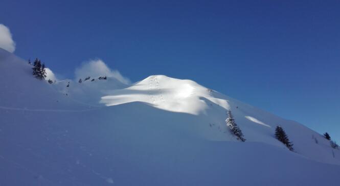 Presque Roche Pourrie image article