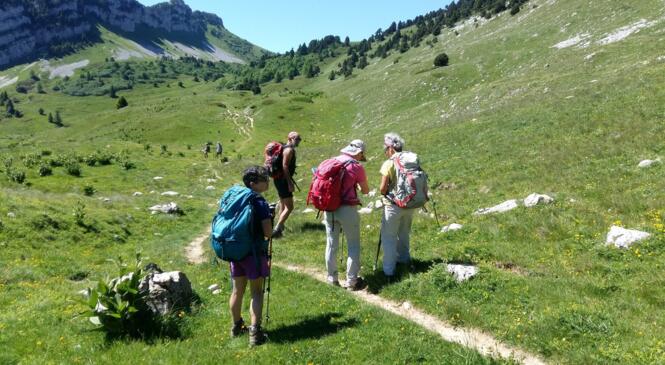 La Chartreuse comme on l'aime, verdoyante sous le soleil de l'été image article