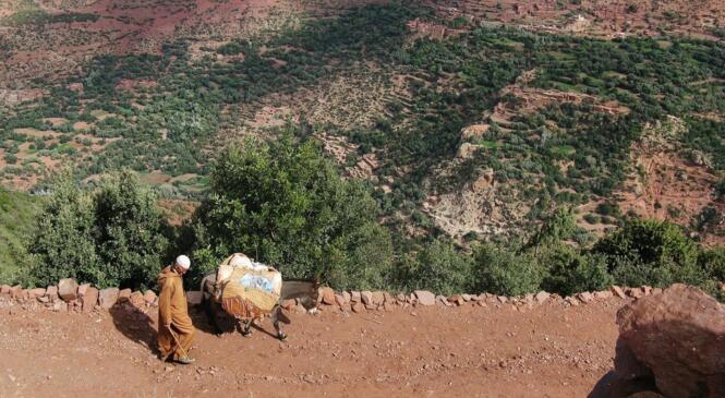 Commencer l'été au MAROC image article