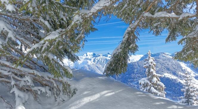 Y'en a marre de la peuf !!! image article