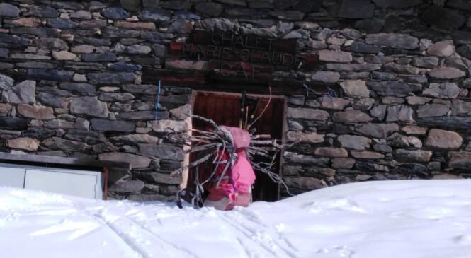 De Maurienne en Tarentaise image article