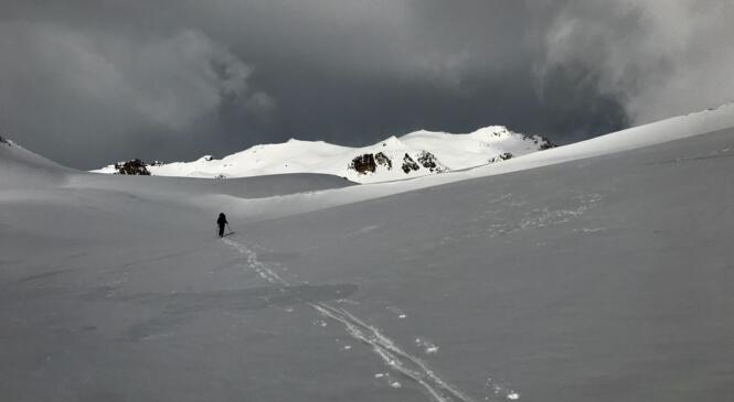 Le Thabor à Quatre Temps image article