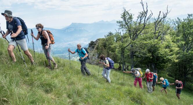 La Chartreuse tout près de chez nous ! image article