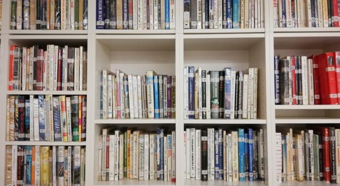 Bibliothèque du club image article