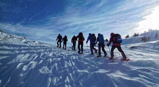 Sortie très aérée image article
