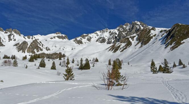 A Sarvatan, c'est le printemps image article