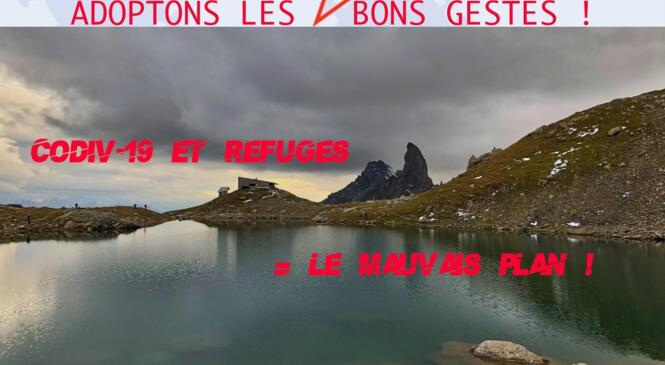 COVID-19 et refuges, le mauvais plan ! image article