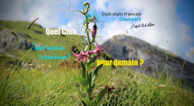 Quel Club pour demain ? Donnez votre avis ! image article