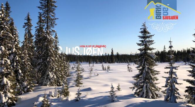 Voyage au pays des Birkebeiners (Sjusjøen - Norvège) image article