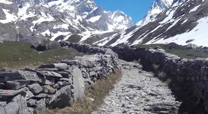 Une nouvelle année de Trail au CAF de Chambéry image article