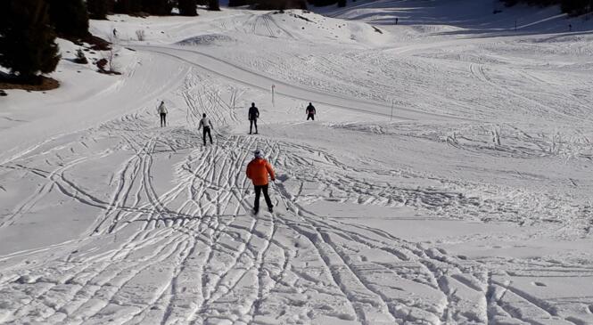 Formations en Skating organisées par le CD 73 FFCAM - reportées cause COVID image article
