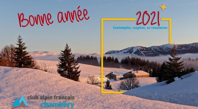 BONNE ANNEE 2021 image article