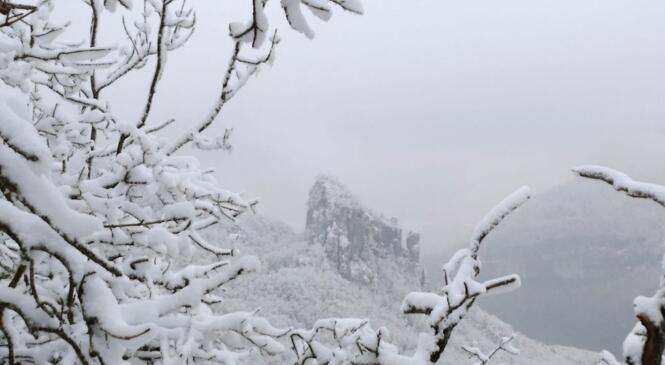 Le Semnoz hors piste… en raquettes image article