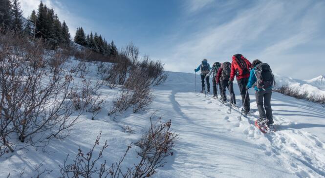 A l'entrée de la Vanoise, le Plan des queux (2143m) en raquettes image article