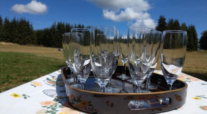 Report Apéro - Tchatche - Bénévolat image article