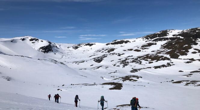 Saison nordique, demandez le programme ! image article