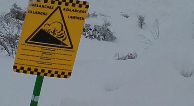 Ateliers Neige et Sécurité au col de Plainpalais image article