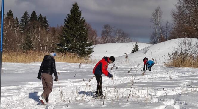 Ateliers Neige et Sécurité au col de Plainpalais image article