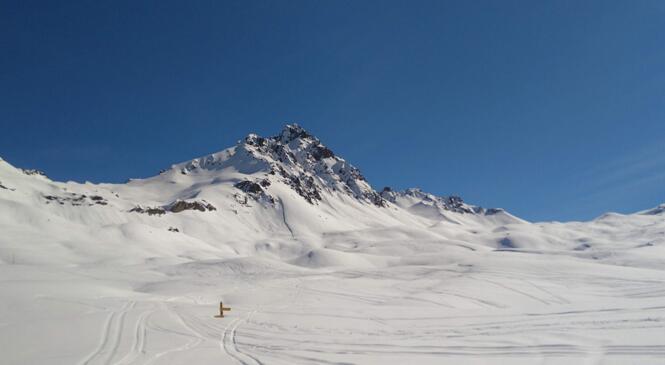 1, 2, 3 cols ...soleil....& poudreuse image article