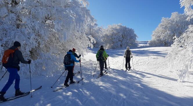 Grand Parcours SRN de Vassieux, nous avons pris le maquis ! image article
