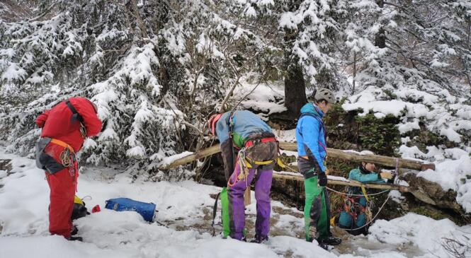 Sous terre et sous la neige. image article