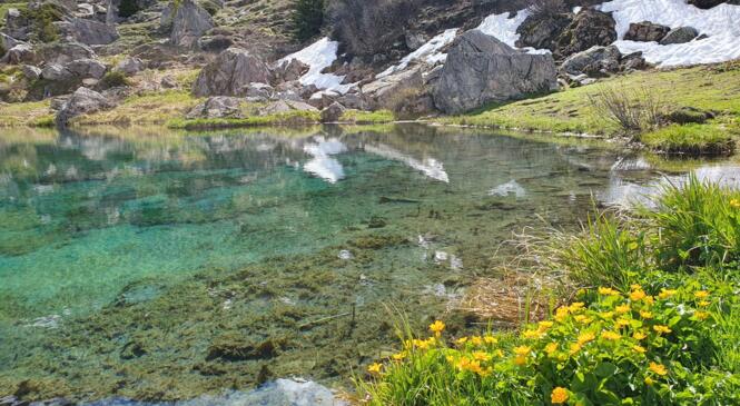 Tout vert ou tout blanc image article