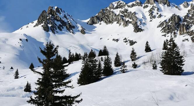 Plus blanc que rouge le Roc image article