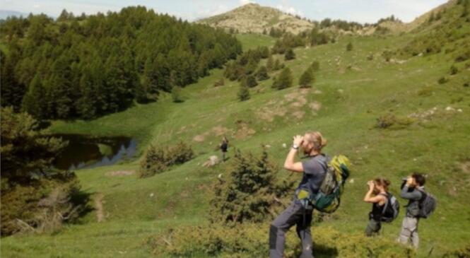 La nature au fil des saisons image article