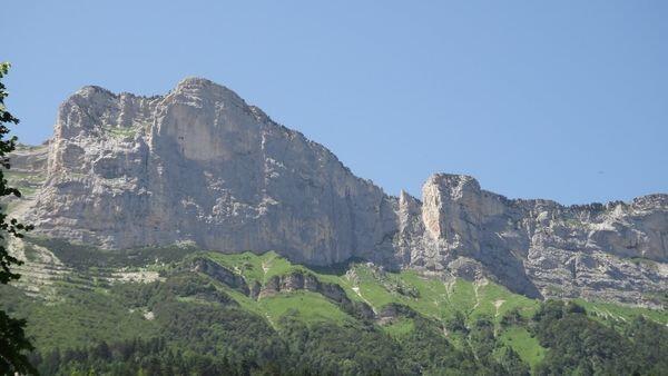 image article