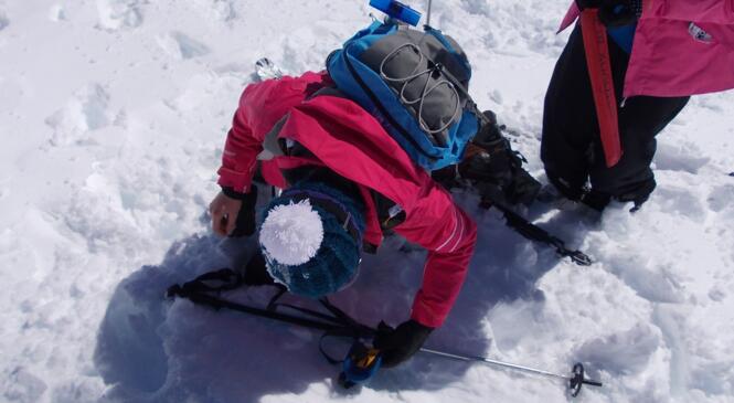 SEMAINE FORMATION "Neige & Avalanches" : Conférence et DVA Parc image article