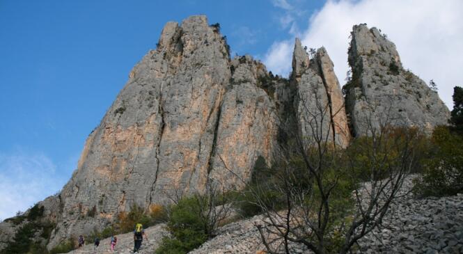 Groupe espoir Escalade : 1° stage image article