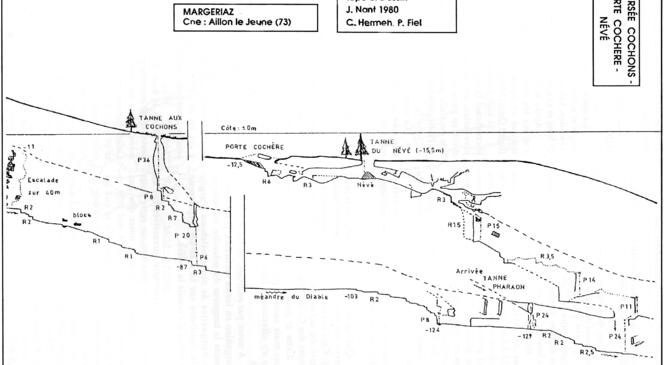 image article