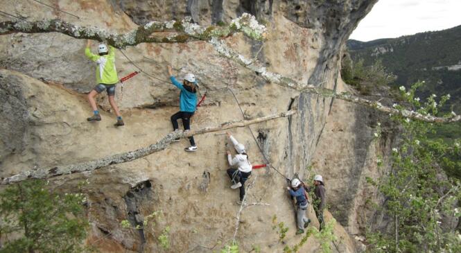 Stage escalade des Bouquetins dans le Tarn et le Jonte (partie 1) image article