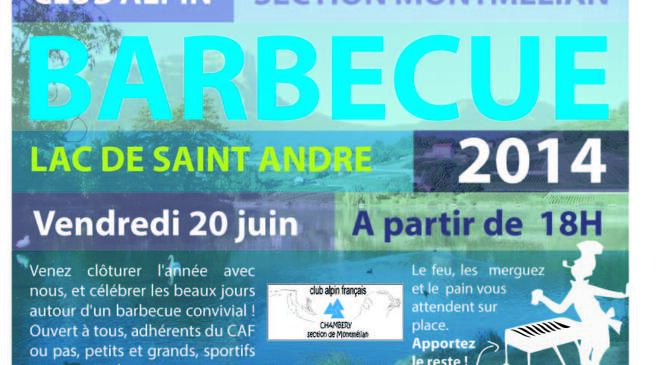BARBECUE DE L'ETE image article