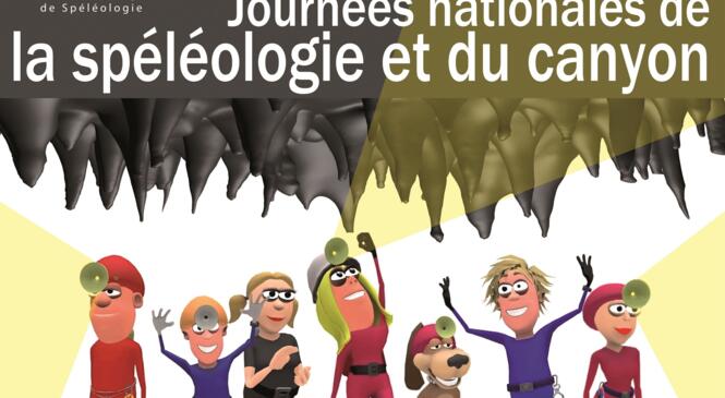 image article