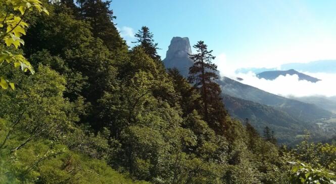 13 cafistes en rando: VERCORS, Tête Chevalière, au Sud du mont Aiguille image article
