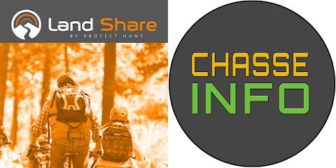 image article